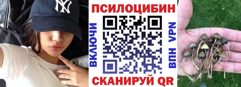 Галлюциногенные грибы Cubensis  Спасск-Рязанский 